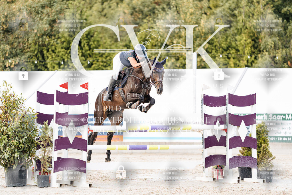 CK903732 | Turnierfotografie Pferdefotografie Trier Rheinland-Pfalz Pferdesport Reitsport Tierfotografie Sportfotografie Pferdevideo Pferdevideografie Equestrianvideography equestrianphotography  - Realisiert mit Pictrs.com