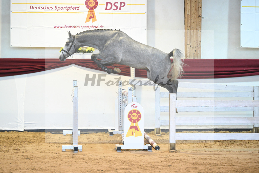 Kat-Nr. 54 v. Vingino_Stahl_66221449 | hf-fotografie - Realisiert mit Pictrs.com