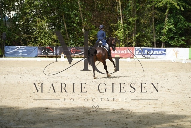 VAN02459 | Marie Giesen Fotografie - Realisiert mit Pictrs.com