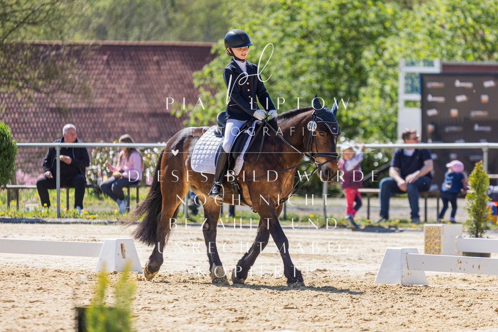 IMGT0459 | pl-fotografie