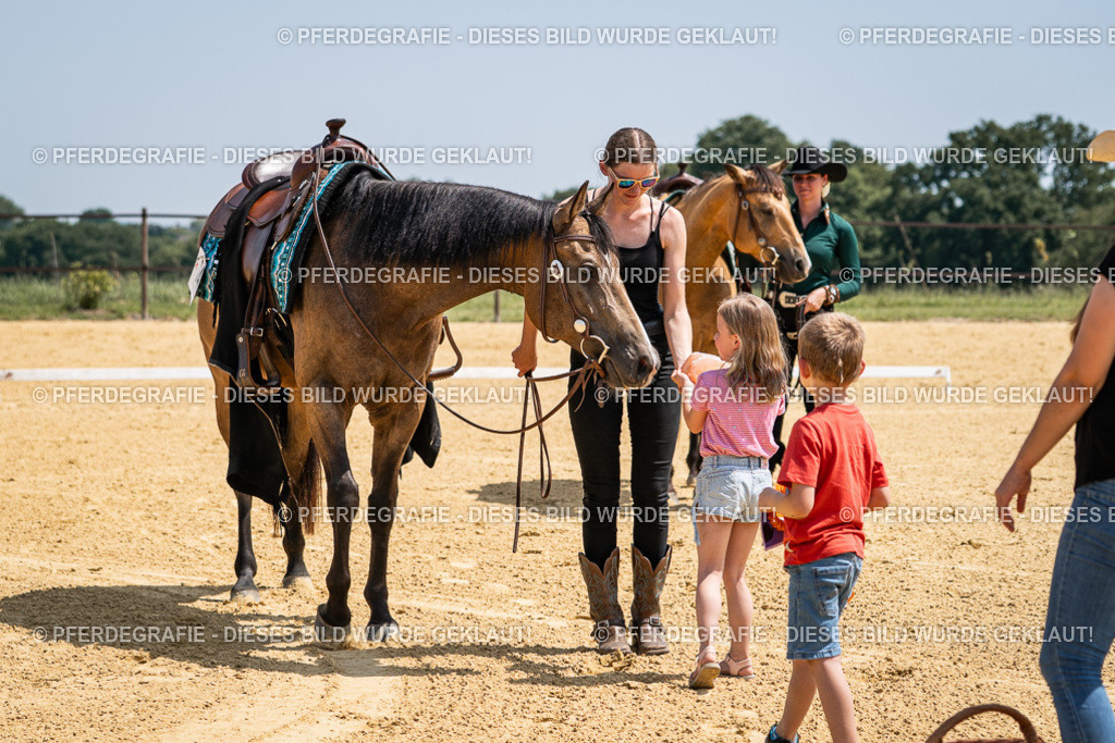 DSC01393 | Pferdegrafie