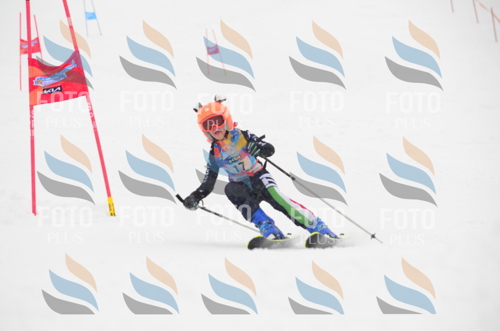 C0651 | holidayphoto