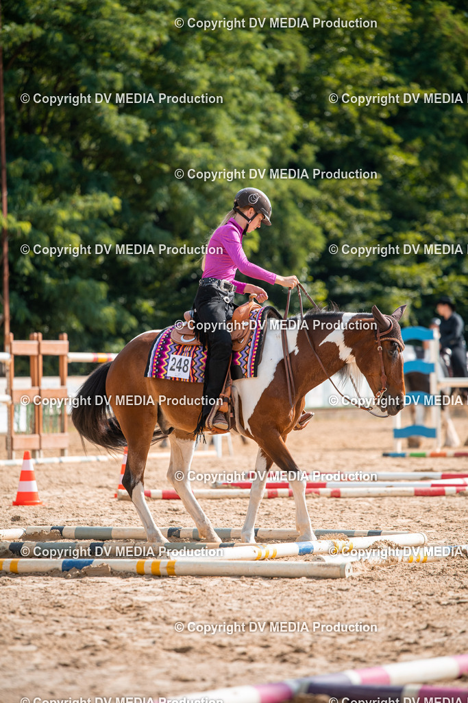 ZS2_7596 | dv-media-shop - Realisiert mit Pictrs.com