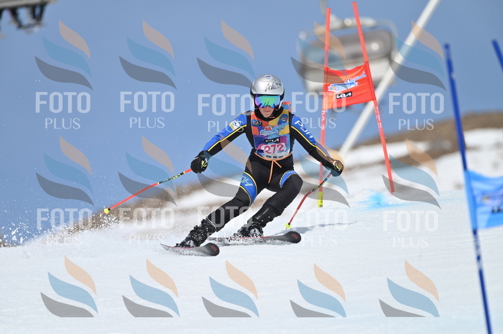 BGV_2288 | holidayphoto