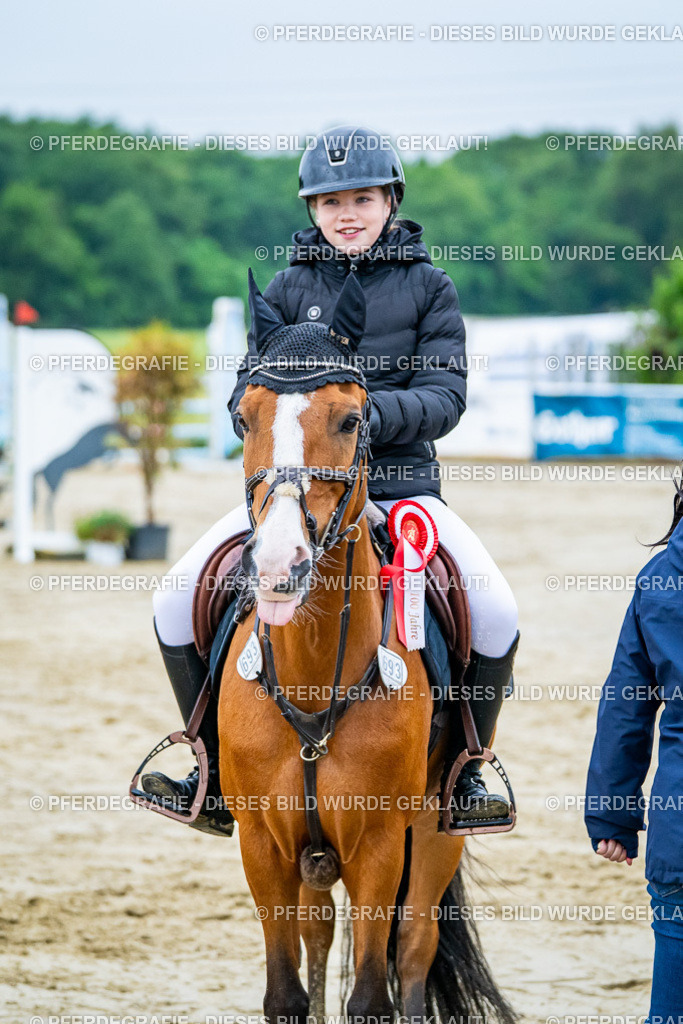 DSC02818 | Pferdegrafie