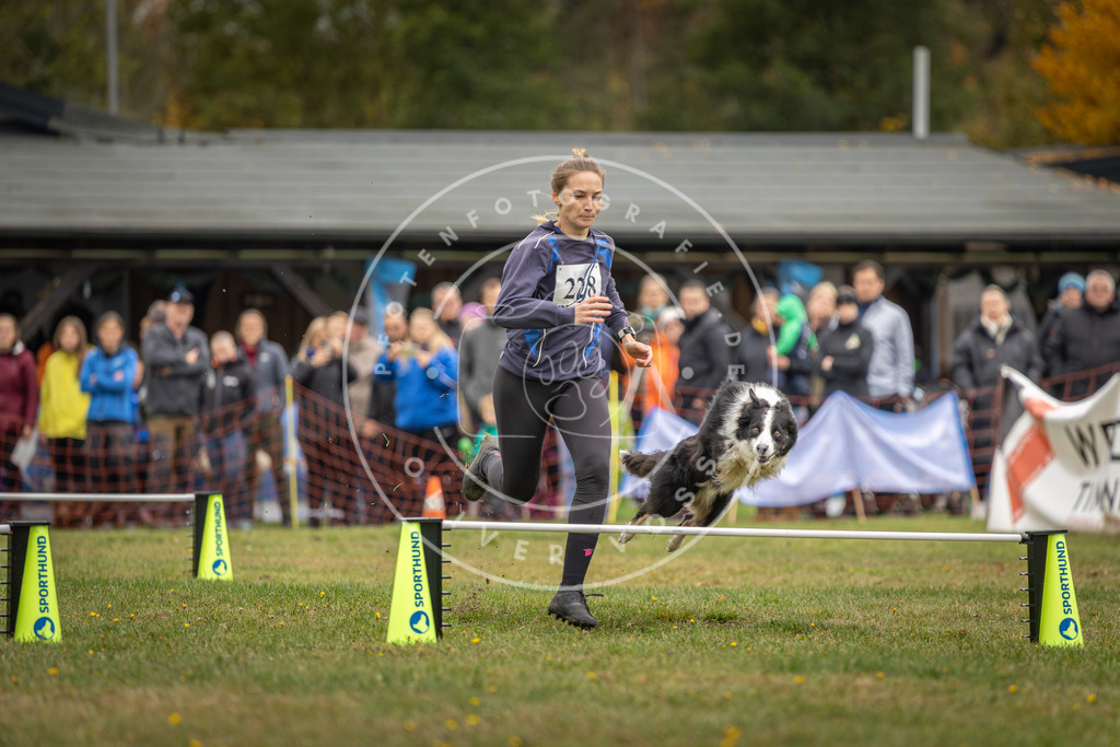 Pfotenfotografie_DV3A3244 | Hundefotografie, Tierfotograf, Pfotenfotografie, Fotoshooting Hund, Hunde Portrait, Hundesport, Hundeportraits, Heideshooting, Hunde, Sportfotograf, Hundefotograf, Turnierhundsport, THS,  - Realisiert mit Pictrs.com