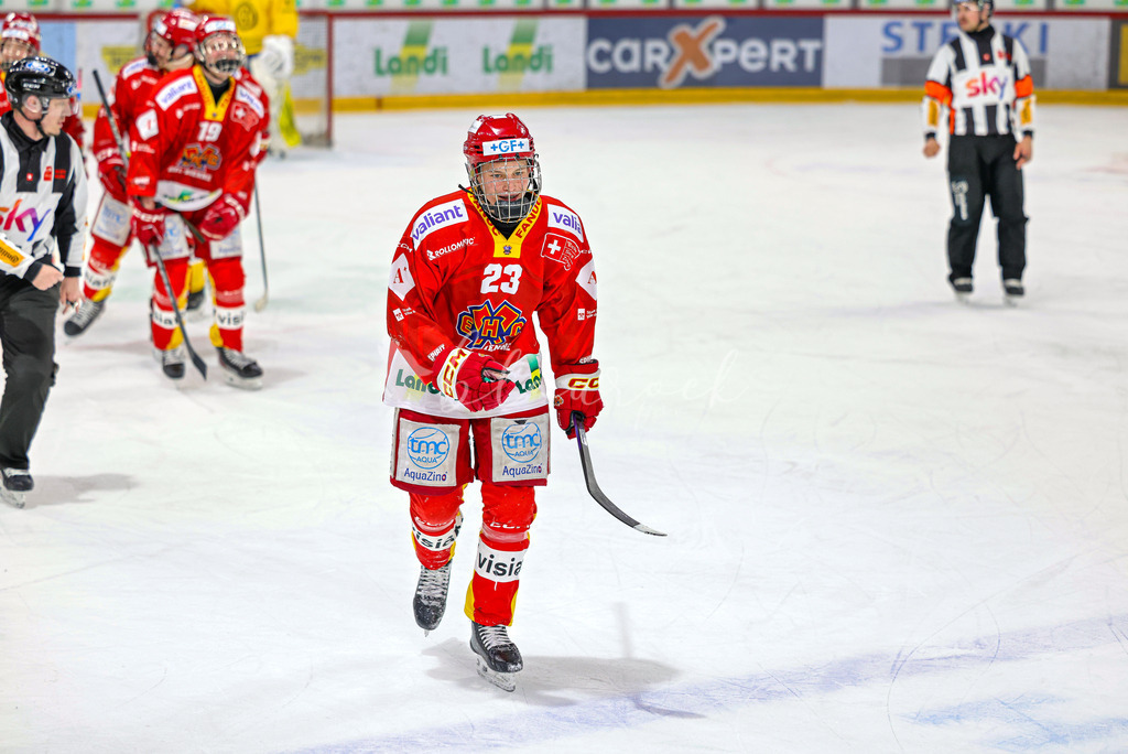 EHCB vs HCD-0365 | Sportbilder, Sportfotograf, Hochzeits- und Eventfotografin, Flugshows, Portraits und Tiershooting, Aviation, Downhill, Nationalleague, Swissleague, International
