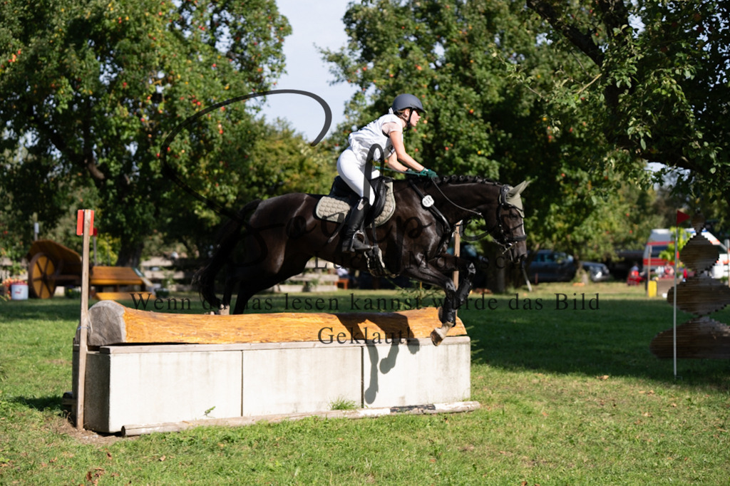 A7V03349 | Pferdefotograf