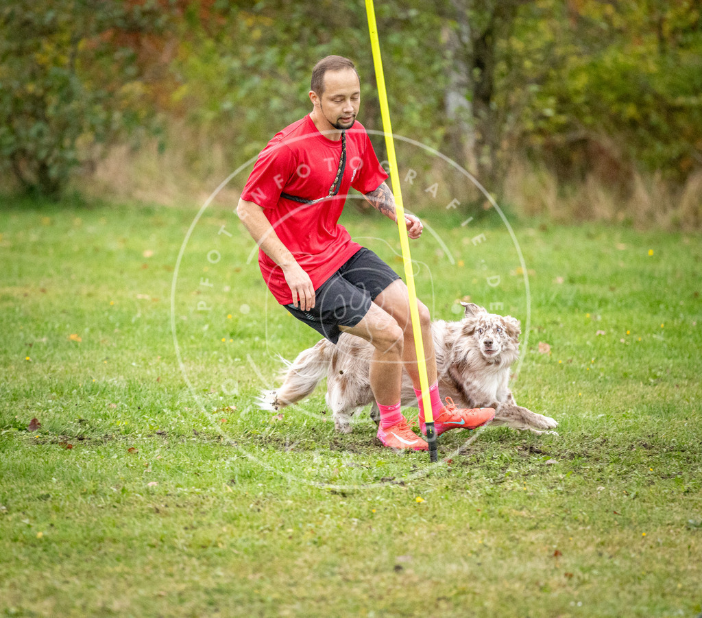 Pfotenfotografie_DV3A0956 | Hundefotografie, Tierfotograf, Pfotenfotografie, Fotoshooting Hund, Hunde Portrait, Hundesport, Hundeportraits, Heideshooting, Hunde, Sportfotograf, Hundefotograf, Turnierhundsport, THS,  - Realisiert mit Pictrs.com