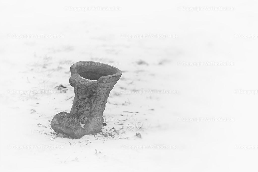 2021-02-07-0017 | Portrait, Fotograf, Berlin, Umkreis, Region, Menschen, Studio, Tierfotografie, Kopfkino, Studiofotografie, Outdoor, Homestory, Katzen, Hund, Hunde, Katze, Gravurarbeiten, kreativ, - Realisiert mit Pictrs.com