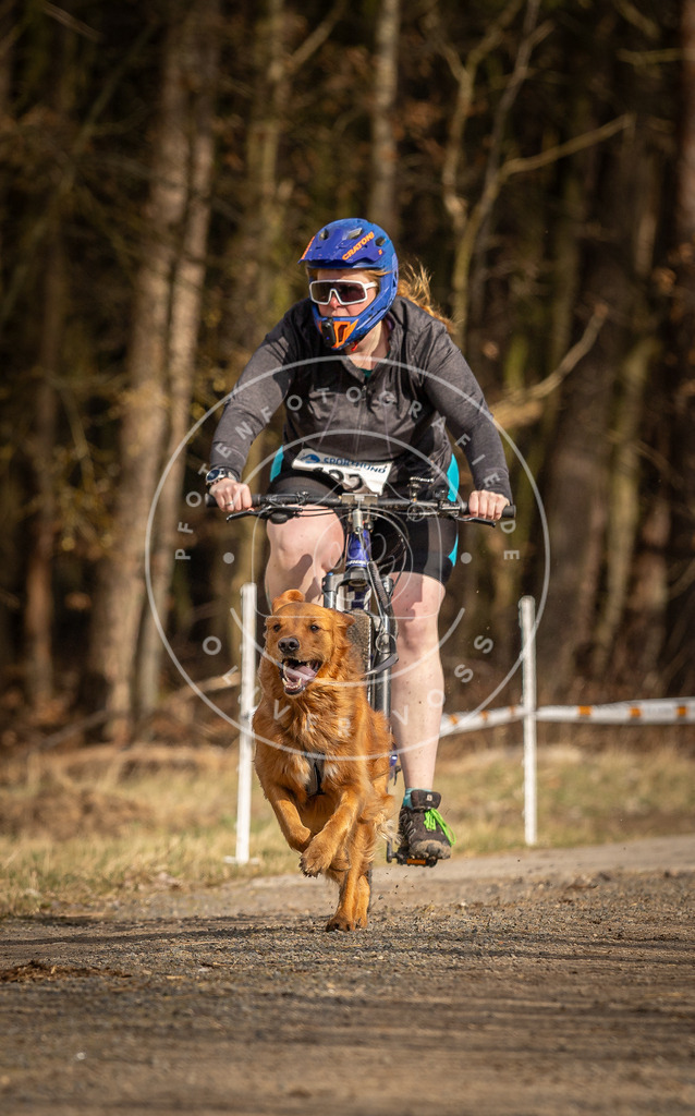 DV3A4476 | Hundefotografie, Tierfotograf, Pfotenfotografie, Fotoshooting Hund, Hunde Portrait, Hundesport, Hundeportraits, Heideshooting, Hunde, Sportfotograf, Hundefotograf, Turnierhundsport, THS,  - Realisiert mit Pictrs.com