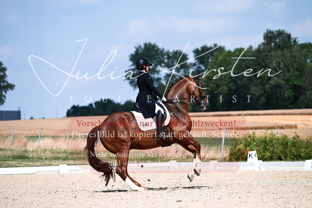 DSC_2877 | Pferde- und Turnierfotografie in Westsachsen. Pferdeportraits, Auftragszeichnungen und intuitive Kunst.