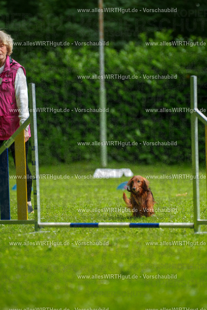 @allesWIRTHgut_Tierfotografie - www.allesWIRTHgut.de - 090730-7R506531 | Professionelle Tierfotografie in Mönchengladbach von Daniel Wirth (allesWIRTHgut). Liebevolle & natürliche Bilder von Hunden & Katzen für unvergessliche Erinnerungen.