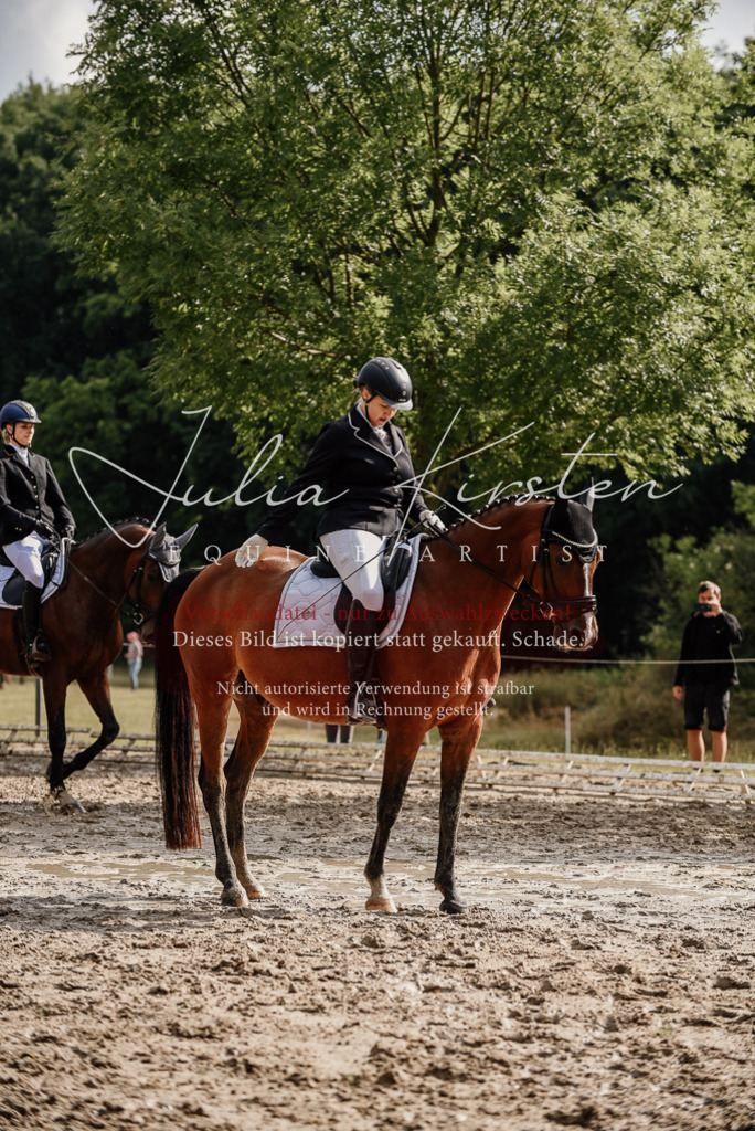 DSC_9080 | Pferde- und Turnierfotografie in Westsachsen. Pferdeportraits, Auftragszeichnungen und intuitive Kunst.