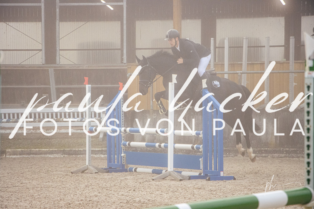 IMG_2351 | Erleben Sie dynamische Sport- und emotionale Tierfotografie in Süddeutschland mit Fotos von Paula. Spezialisiert auf Pferde- und Hundefotografie sowie Sportevents. Kontaktieren Sie mich für einzigartige und ausdrucksstarke Bilder Ihrer besonderen Momente. - Realisiert mit Pictrs.com