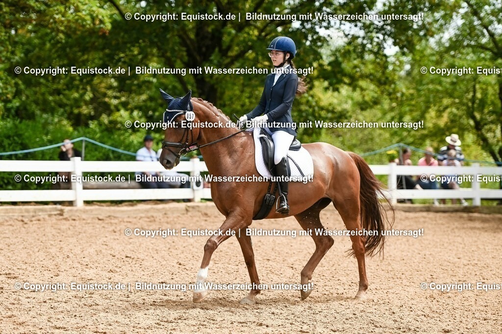20230716_03_Dressurprfg. Kl.L - Tr._0337 | equistock