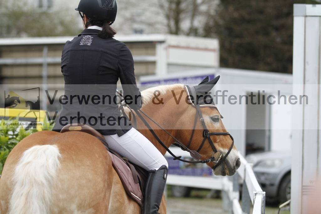 _MG_3528 | equestrian-live-com