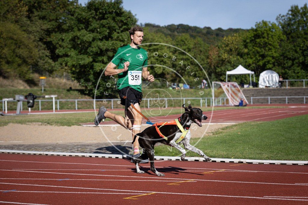 Pfotenfotografie_DV3A9441 | Hundefotografie, Tierfotograf, Pfotenfotografie, Fotoshooting Hund, Hunde Portrait, Hundesport, Hundeportraits, Heideshooting, Hunde, Sportfotograf, Hundefotograf, Turnierhundsport, THS,  - Realisiert mit Pictrs.com
