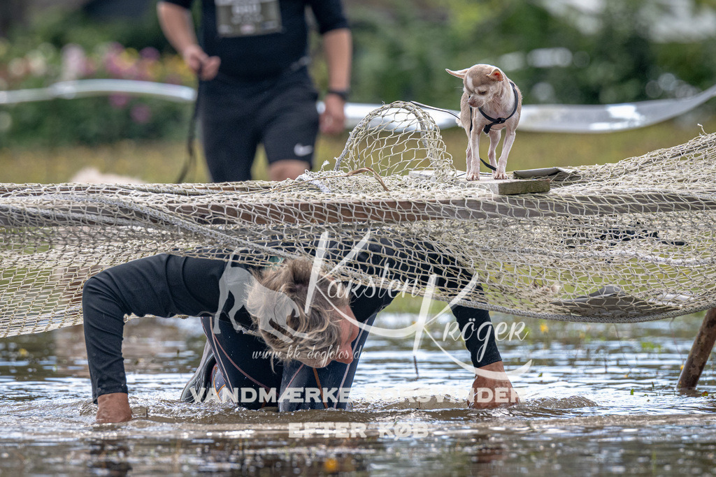 1316_ZZ90659 | kk-dogfotos