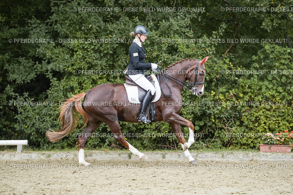 DSC06852 | Pferdegrafie