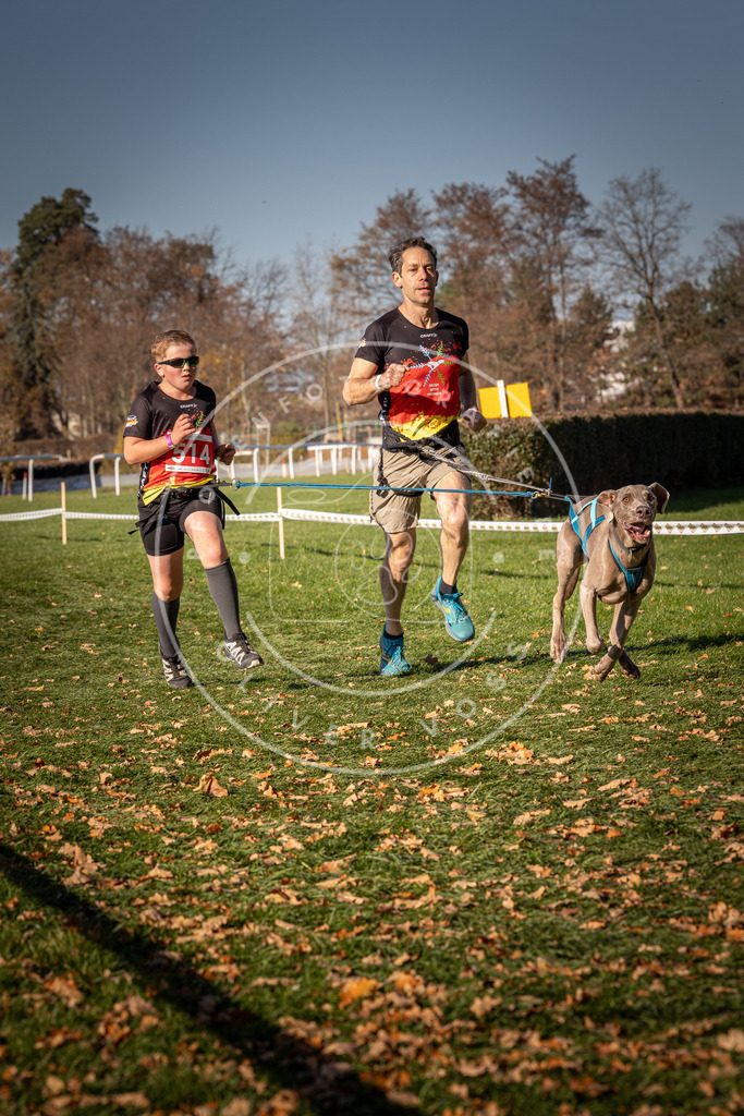 CaniXpix_0L8A6921 | Hundefotografie, Tierfotograf, Pfotenfotografie, Fotoshooting Hund, Hunde Portrait, Hundesport, Hundeportraits, Heideshooting, Hunde, Sportfotograf, Hundefotograf, Turnierhundsport, THS,  - Realisiert mit Pictrs.com