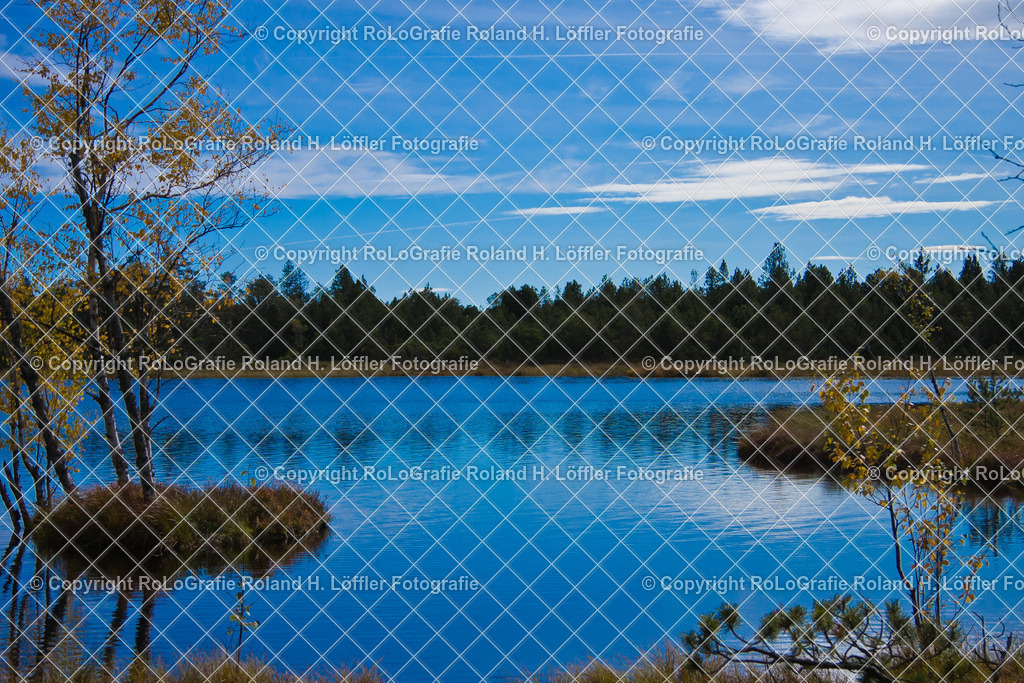 Wildsee-Kaltenbromm | Der WIldsee in Kaltenbronn - Realisiert mit Pictrs.com