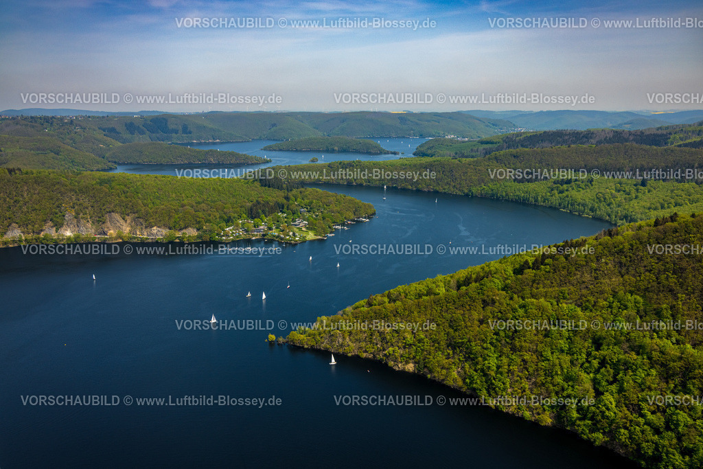 Simmerath240501955Rursee | Luftbild, Segelboote auf dem geschlungenen Rursee mit hügeligem Waldgebiet, Rurtalsperre Schwammenauel, Segelclub Jülich mit Bottsanlegestellen, Woffelsbach, Simmerath, Nordrhein-Westfalen, Deutschland