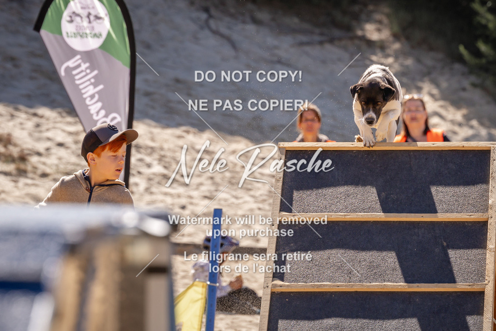 NR__0845 | nelerasche