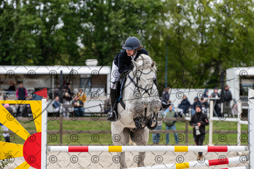 KPT_8590 | andre_photographic