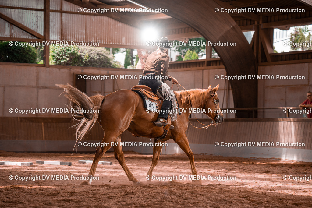 NE100603 | dv-media-shop - Realisiert mit Pictrs.com