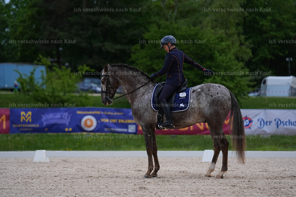 PI26_DR_280_StoibphotographySIN06135.jpg | working equitationturnier fotograf videograf stoibphotography marixx film working equitation deutschland reitsport turnierfotografie eventfotografie equestrian events