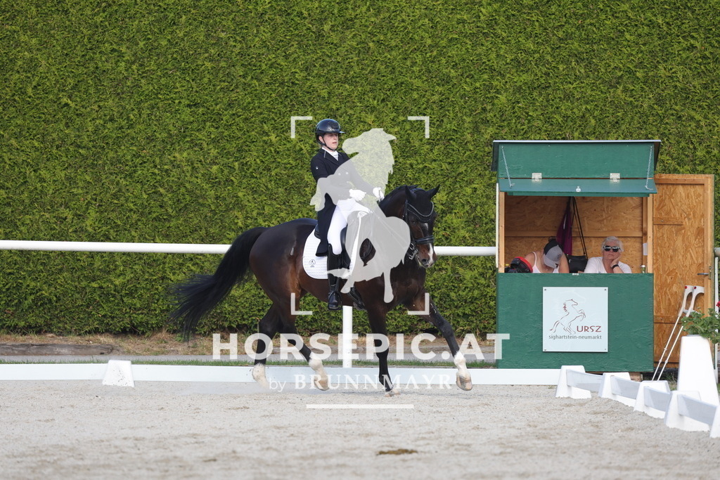 0P6A3736 | Willkommen bei Brunnmayr - Design & Fotografie – Ihrem Spezialisten für Reitturniere und Pferdeveranstaltungen in Oberösterreich, Salzburg und Bayern! Seit über 17 Jahren sind wir leidenschaftlich dabei.