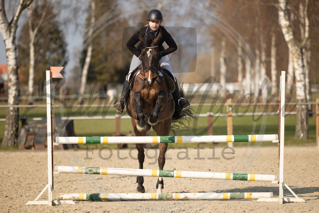 994A9772 | sabrinanicolaifotografie - Realisiert mit Pictrs.com