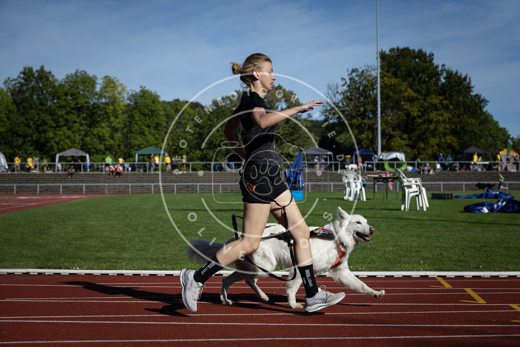 Pfotenfotografie_DV3A8884 | Hundefotografie, Tierfotograf, Pfotenfotografie, Fotoshooting Hund, Hunde Portrait, Hundesport, Hundeportraits, Heideshooting, Hunde, Sportfotograf, Hundefotograf, Turnierhundsport, THS,  - Realisiert mit Pictrs.com