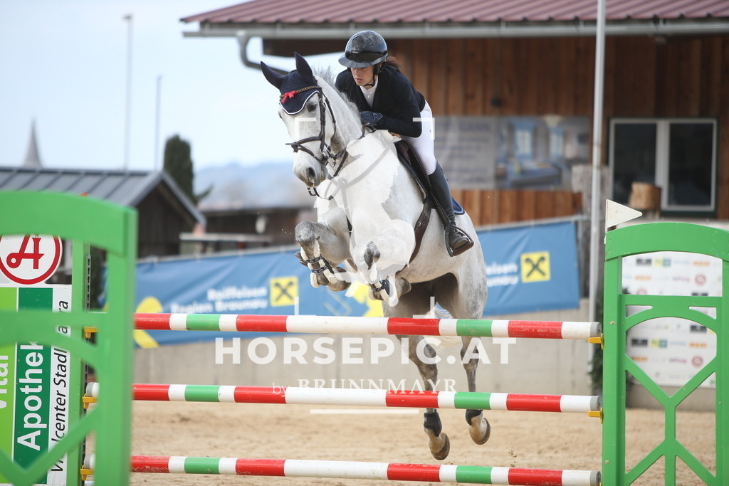 AS8V8501 | Willkommen bei Brunnmayr - Design & Fotografie – Ihrem Spezialisten für Reitturniere und Pferdeveranstaltungen in Oberösterreich, Salzburg und Bayern! Seit über 17 Jahren sind wir leidenschaftlich dabei.