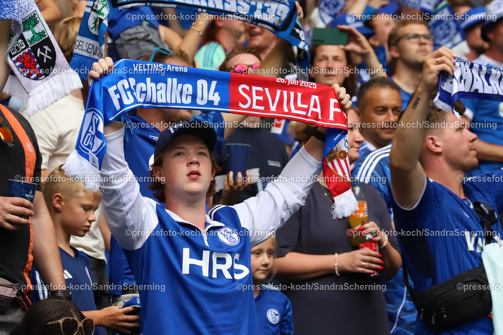 xSSC26072501055 | 26.07.2025, xsscx, Fuﬂball, FC Schalke 04 - FC Sevilla, 2. Fuﬂball Bundesliga, VELTINS-Arena, Saison 2025 2026: Fans vom FC Schalke 04 mit Spieltagsschal DFB regulations prohibit any use of photographs as image sequences and or quasi-video.