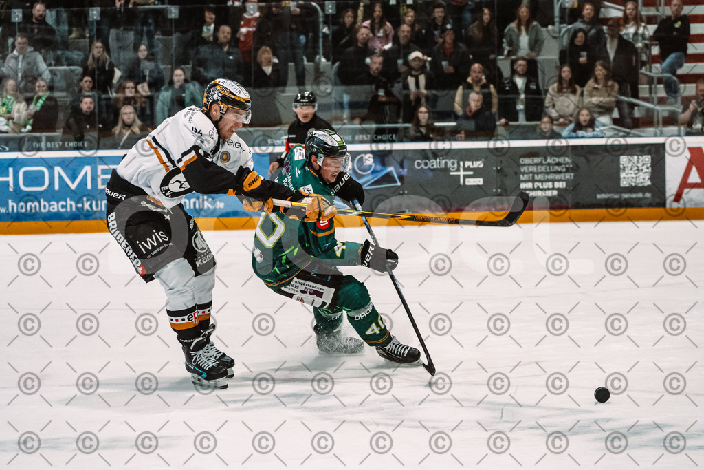 Alligators_vs_Fuessen_27_09_2026-19 | Die Fotogalerie von Daddel: professionelle Bilder von Sport, Events und Unternehmen aus Franken. Jetzt Galerien durchstöbern und Lieblingsfotos bestellen. - Realisiert mit Pictrs.com
