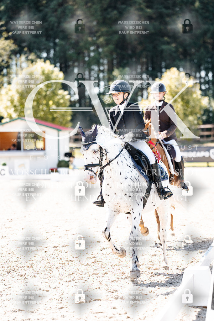 CK904279 | Turnierfotografie Pferdefotografie Trier Rheinland-Pfalz Pferdesport Reitsport Tierfotografie Sportfotografie Pferdevideo Pferdevideografie Equestrianvideography equestrianphotography  - Realisiert mit Pictrs.com