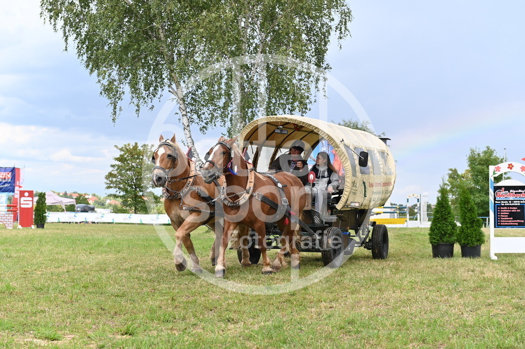 DSC_4693 | sattelsport - Realisiert mit Pictrs.com