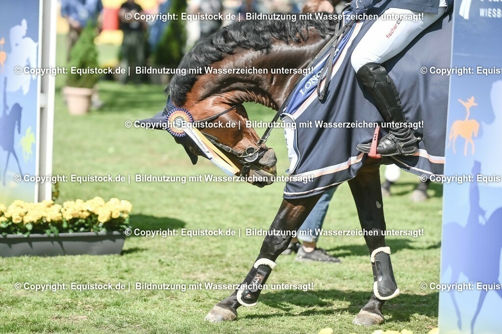 20230527_27_CCI4_Gelände_0596 | equistock