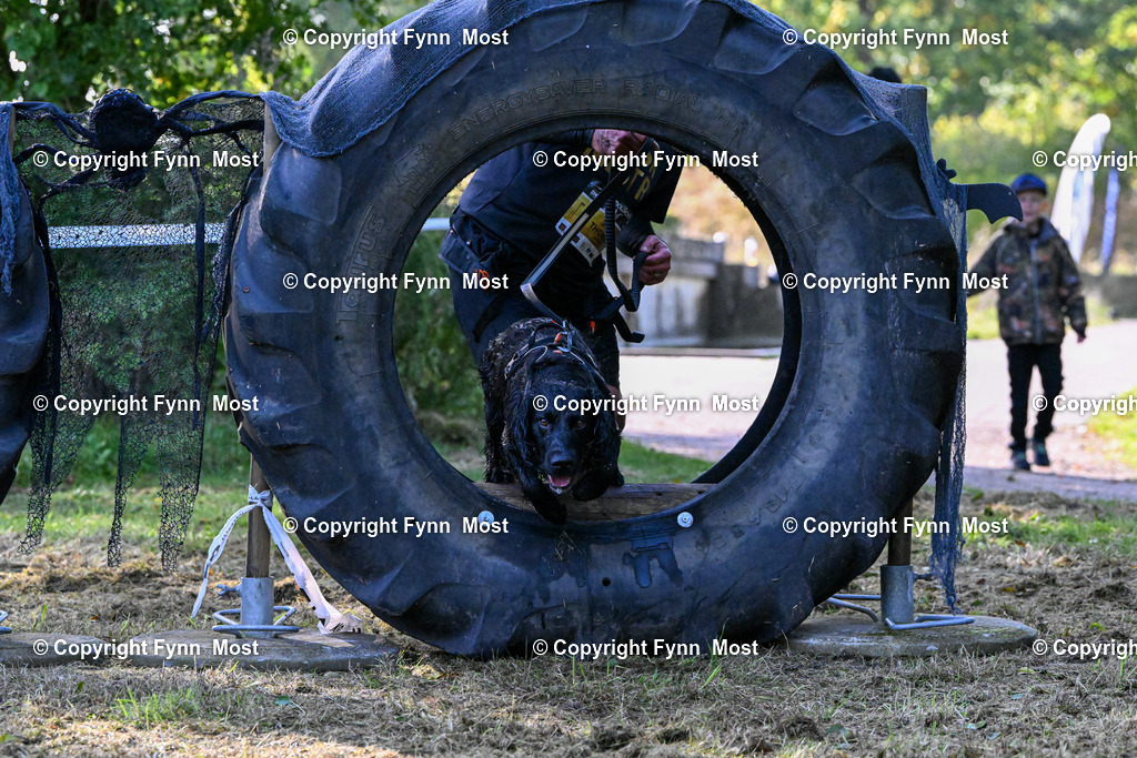 DSC_6312 | Hallo und herzlich Willkommen auf meiner Shop-Seite Fynn Most.

Ich wünsche Dir viel Spaß beim stöbern durch die Bilder, wenn Du Fragen hast oder Bilder vermisst, kannst du mir gerne eine Nachricht schreiben. - Realisiert mit Pictrs.com