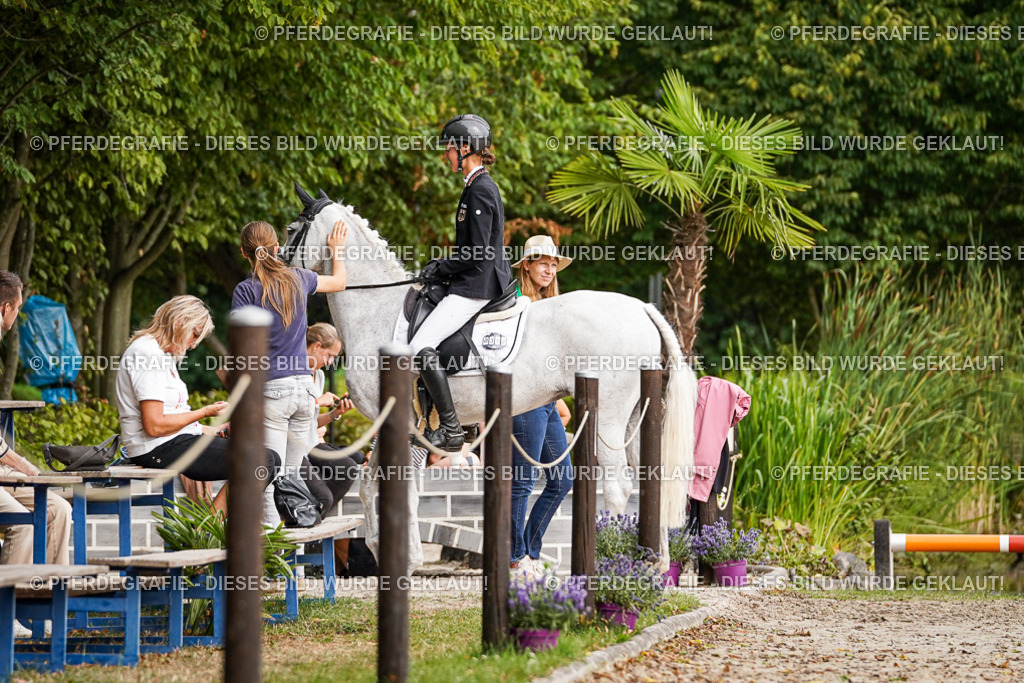 DSC02204 | Pferdegrafie