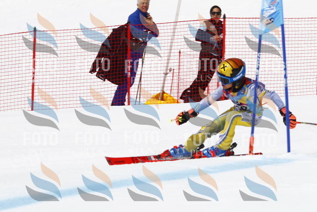 _U3G6443 | holidayphoto