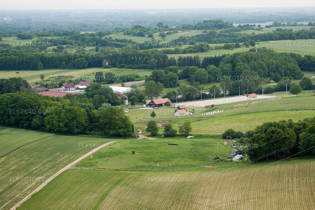 Aerial view: Haras de la Née in Neewiller-près-Lauterbourg in the state Bas-Rhin, France.Photo: IMG_28740.jpg taken on 06/14/2010 by Werner Riehm/FLY-FOTO.comResolution of the original: 4752 x 3168 px