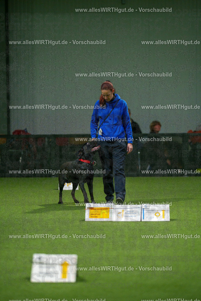 7R508430 | Professionelle Tierfotografie in Mönchengladbach von Daniel Wirth (allesWIRTHgut). Liebevolle & natürliche Bilder von Hunden & Katzen für unvergessliche Erinnerungen.