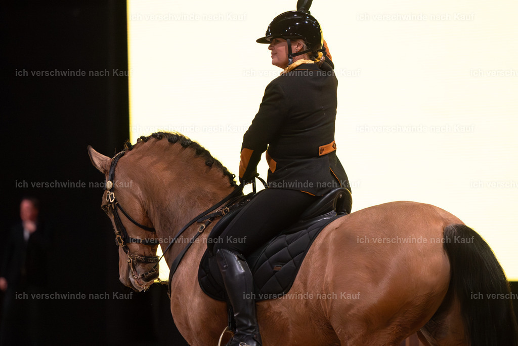 JoseraCup-147 | working equitationturnier fotograf videograf stoibphotography marixx film working equitation deutschland reitsport turnierfotografie eventfotografie equestrian events