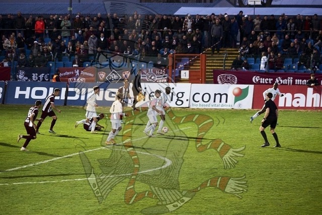 BFC Dynamo vs. Tennis Borussia Berlin 057 | mythos-online-redaktion