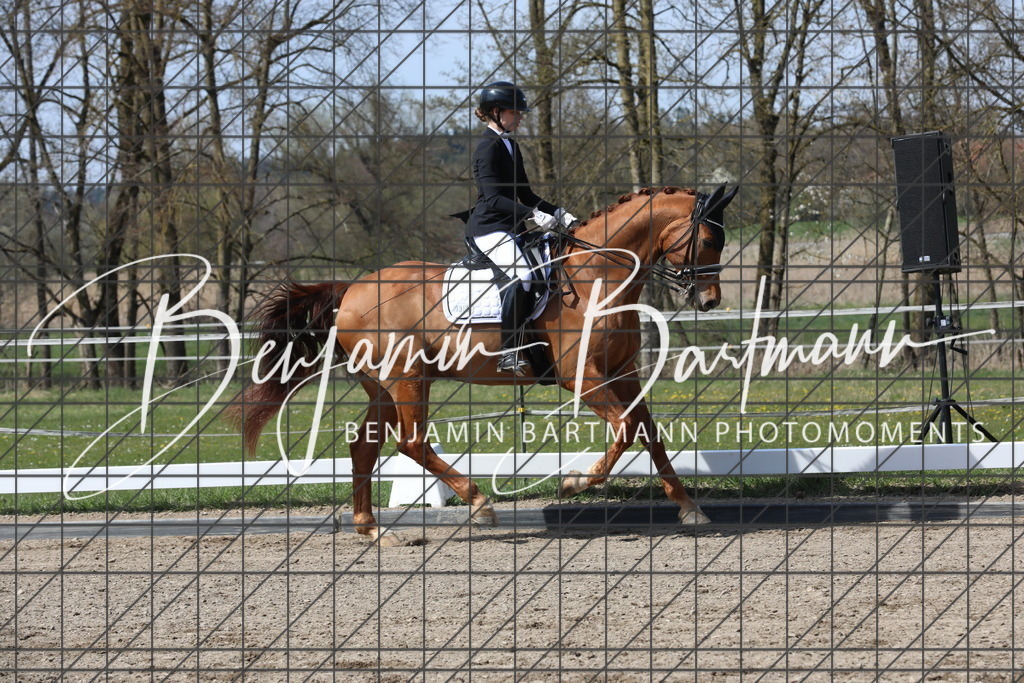 AZ2A5779 | Benjamin Bartmann Photomoments