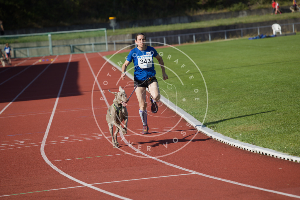 0L8A9065 | Hundefotografie, Tierfotograf, Pfotenfotografie, Fotoshooting Hund, Hunde Portrait, Hundesport, Hundeportraits, Heideshooting, Hunde, Sportfotograf, Hundefotograf, Turnierhundsport, THS,  - Realisiert mit Pictrs.com