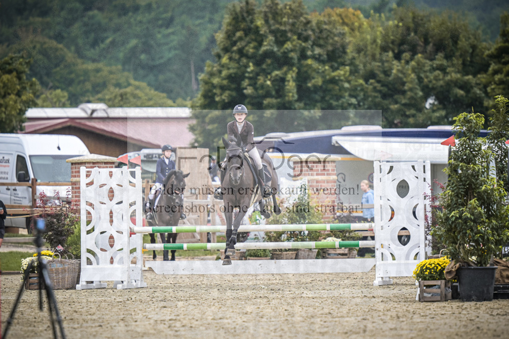 DOS_0379 | Entdecke hochwertige Reitturnierfotos von Foto Oger. Professionell, emotional und authentisch – jetzt Lieblingsmomente im Shop bestellen.Deutschlandweite Turnierfotografie. - Realisiert mit Pictrs.com
